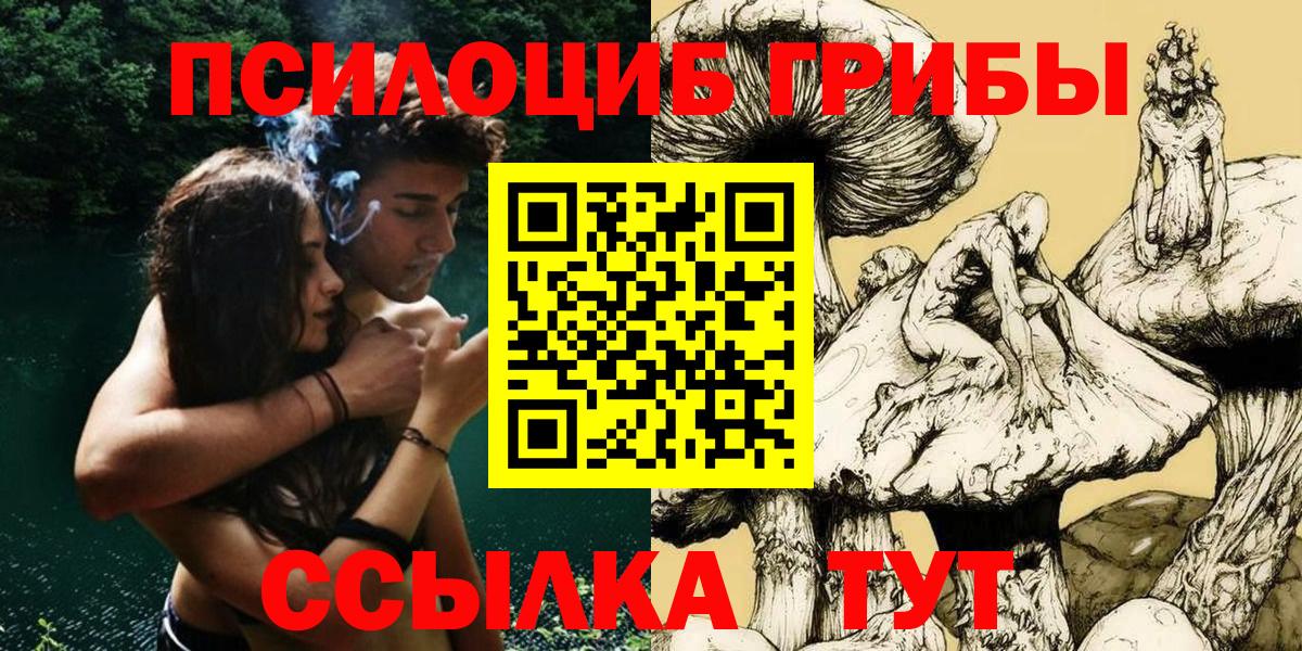 Псилоцибиновые грибы Psilocybine cubensis  Вход с VPN  Электросталь 